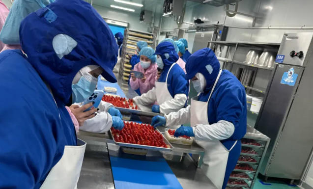 山姆麻薯驚現(xiàn)活老鼠、盒馬草莓蛋糕錯(cuò)把鹽當(dāng)糖，新零售烘焙的濾鏡碎了？