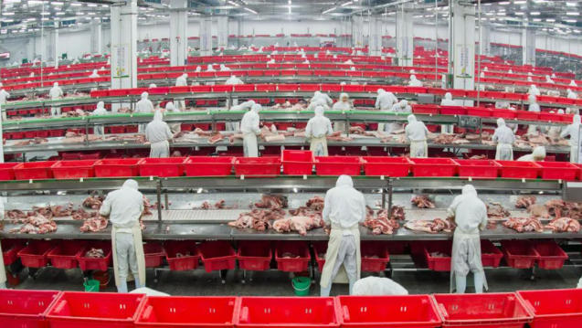 金鑼、郯潤(rùn)、齊匯、瑞發(fā)德、喜姐炸串……山東臨沂“食力派”全鏈發(fā)力、高質(zhì)躍升